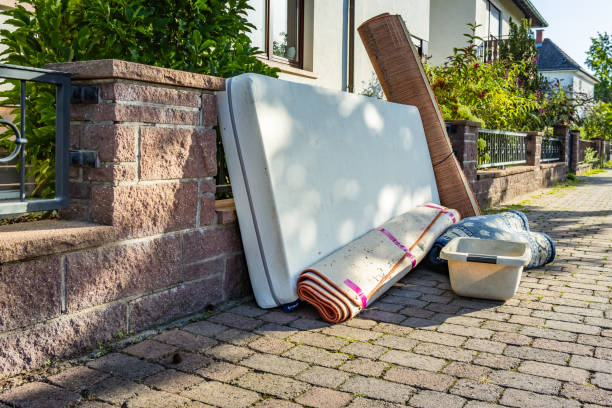 Yard Cleanup Services in Indian River, MI